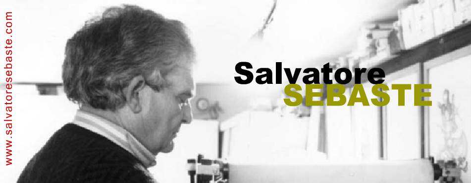 sebaste salvatore home